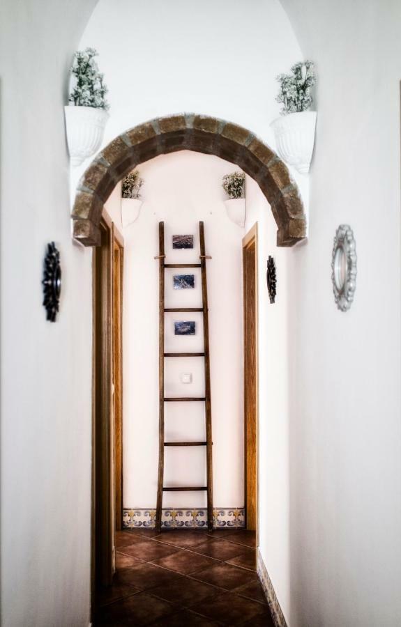 Casa Vitoria Guest House Evora Bagian luar foto